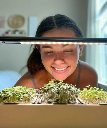 Modern Microgreens Kit with Grow Light