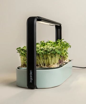 Modern Microgreens Kit with Grow Light